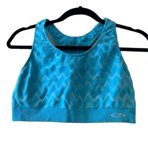 Champion Blue Sports Bra XL